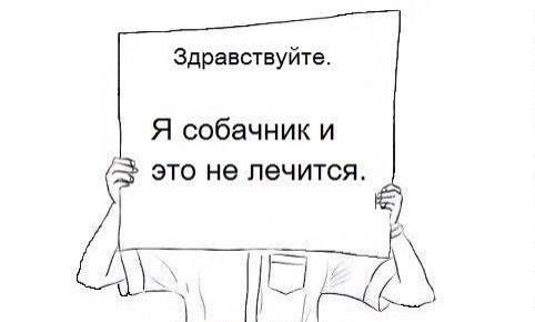 101_n.jpg