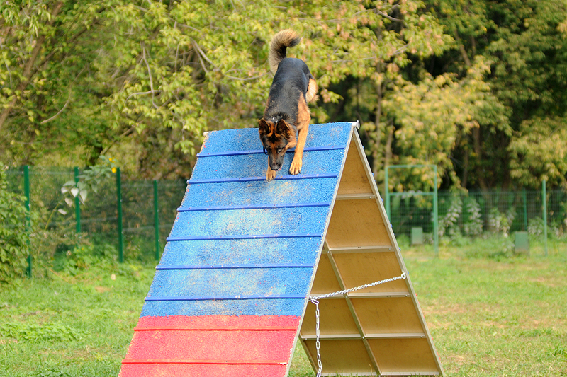 DSC_2475.JPG