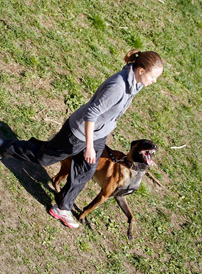 1604852_309387795885598_2007198654406736432_n[1].jpg
