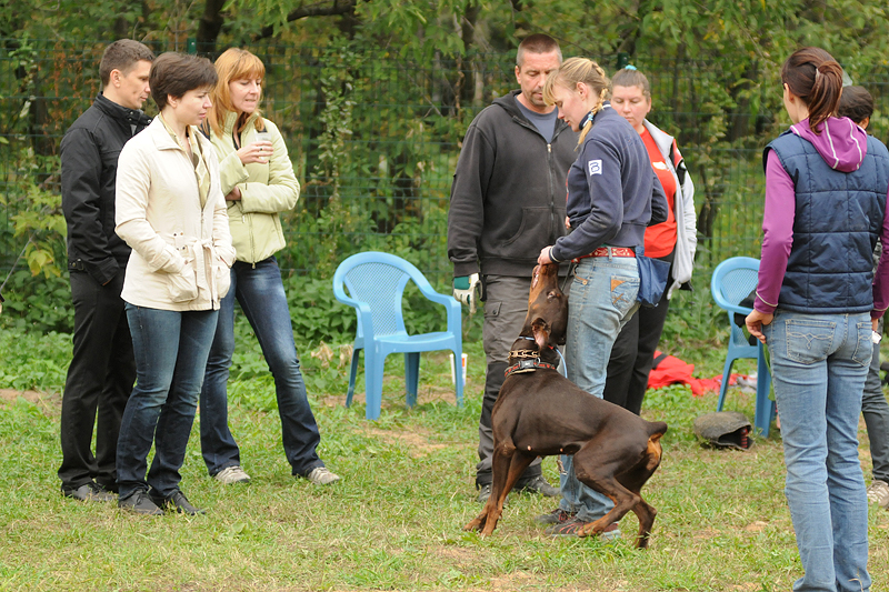 DSC_2915.JPG