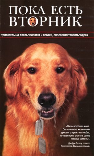 пока есть вторник.jpg