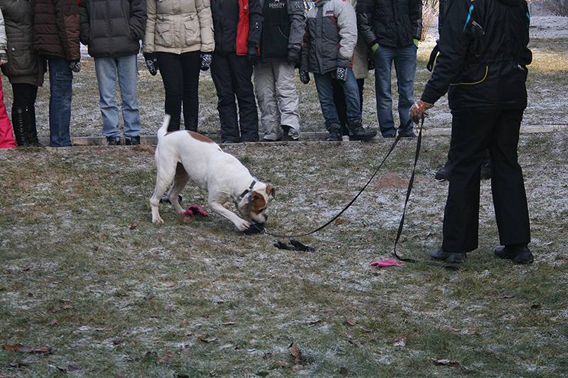 IMG_5622.JPG