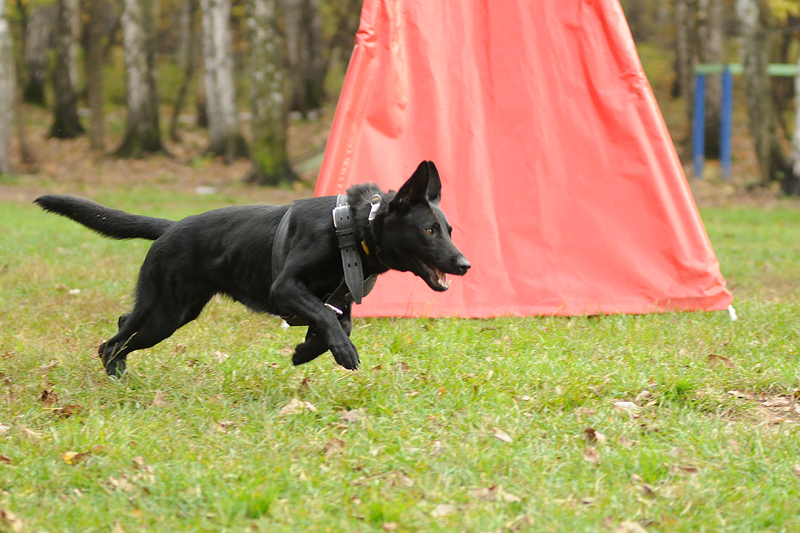 DSC_3693.JPG