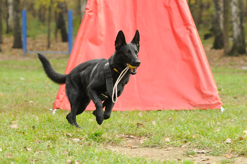 DSC_3683.JPG