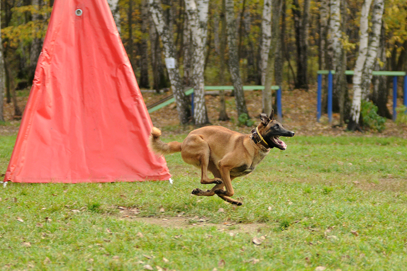 DSC_3754.JPG
